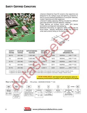 302R29N100JV3E-****-SC datasheet  